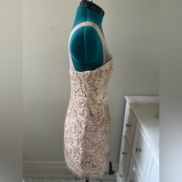 BCBG Maxazria Dress (Nude, Mesh, Shimmer, US 6) - Picture 2 of 3